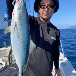 シーモンキー 釣果