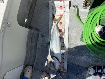 シーモンキー 釣果