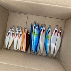 シーモンキー 釣果