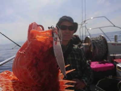 シーモンキー 釣果