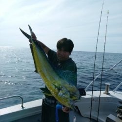 シーモンキー 釣果