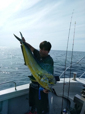 シーモンキー 釣果