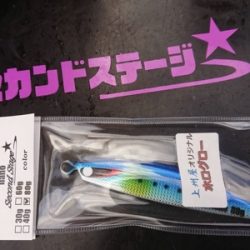 シーモンキー 釣果