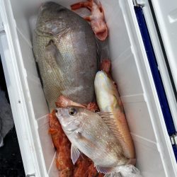 リトルワン 釣果