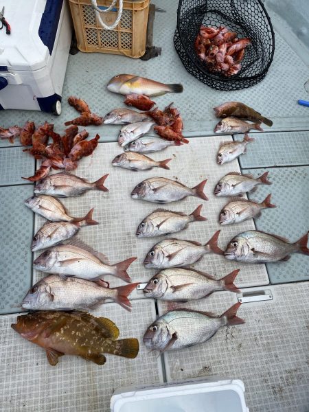 リトルワン 釣果