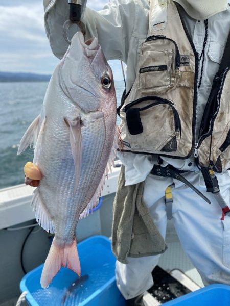 リトルワン 釣果