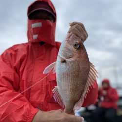 リトルワン 釣果