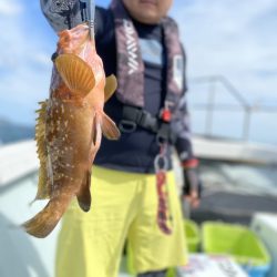 リトルワン 釣果