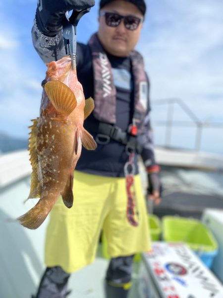 リトルワン 釣果