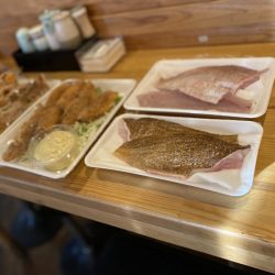 リトルワン 釣果