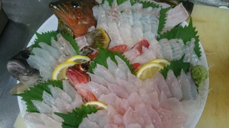 リトルワン 釣果