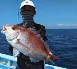 東京湾探釣隊ぼっち 釣果