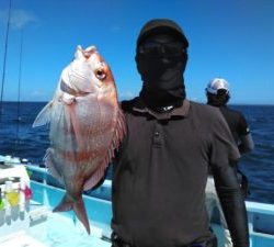 東京湾探釣隊ぼっち 釣果