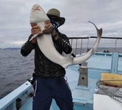 東京湾探釣隊ぼっち 釣果