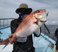 東京湾探釣隊ぼっち 釣果