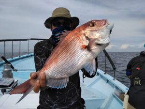 東京湾探釣隊ぼっち 釣果
