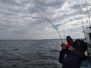 東京湾探釣隊ぼっち 釣果