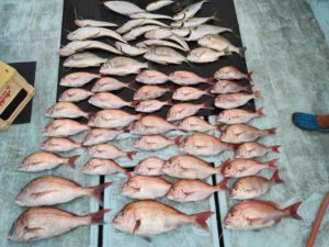 東京湾探釣隊ぼっち 釣果