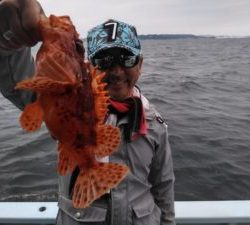東京湾探釣隊ぼっち 釣果