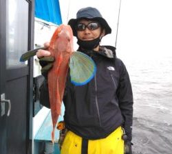 東京湾探釣隊ぼっち 釣果