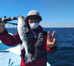 東京湾探釣隊ぼっち 釣果