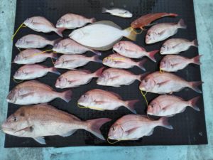 東京湾探釣隊ぼっち 釣果