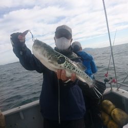 第二明康丸 釣果