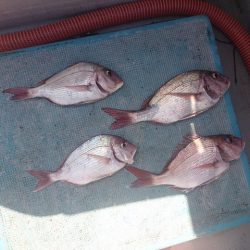 第二明康丸 釣果