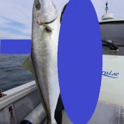 エル・クルーズ 釣果