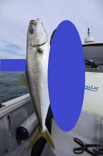 エル・クルーズ 釣果