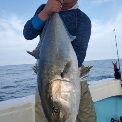 海晴丸 釣果