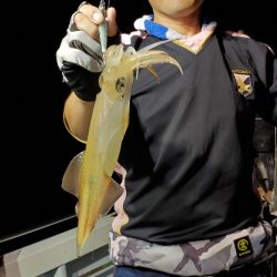 LUSTER『ラスター』 釣果