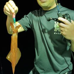 LUSTER『ラスター』 釣果