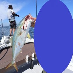 エル・クルーズ 釣果