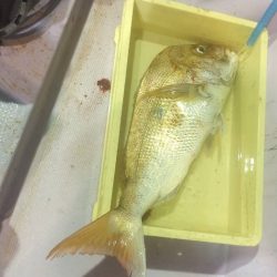 海龍丸（石川） 釣果