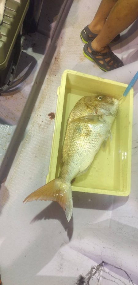 海龍丸（石川） 釣果