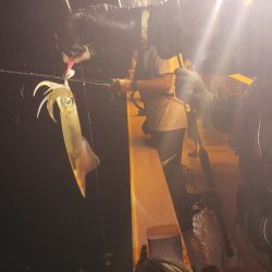 海龍丸（石川） 釣果