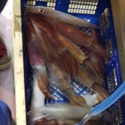 海龍丸（石川） 釣果