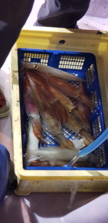 海龍丸（石川） 釣果