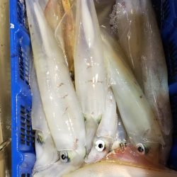 海龍丸（石川） 釣果