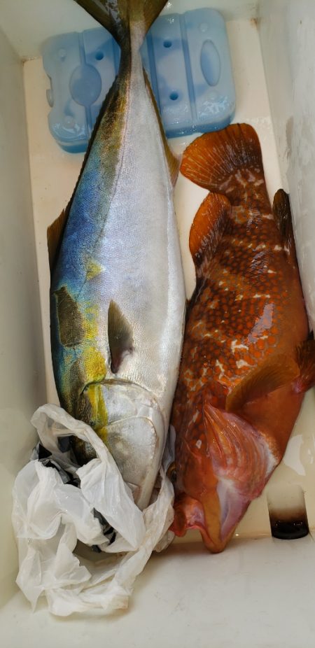 海龍丸(石川) 釣果