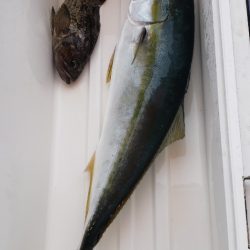 海龍丸(石川) 釣果