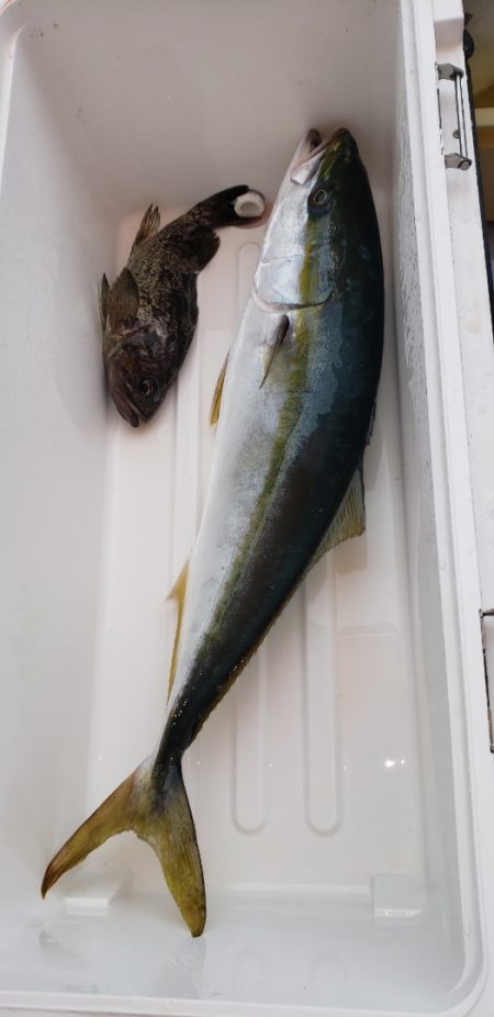 海龍丸(石川) 釣果