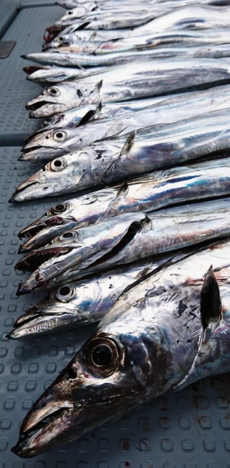 遊漁船 家入 釣果