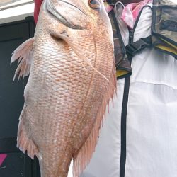 シースナイパー海龍 釣果