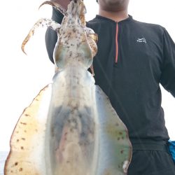 シースナイパー海龍 釣果