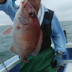 新幸丸 釣果