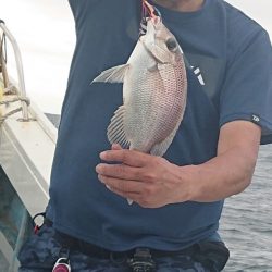 だて丸 釣果