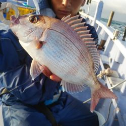 新幸丸 釣果