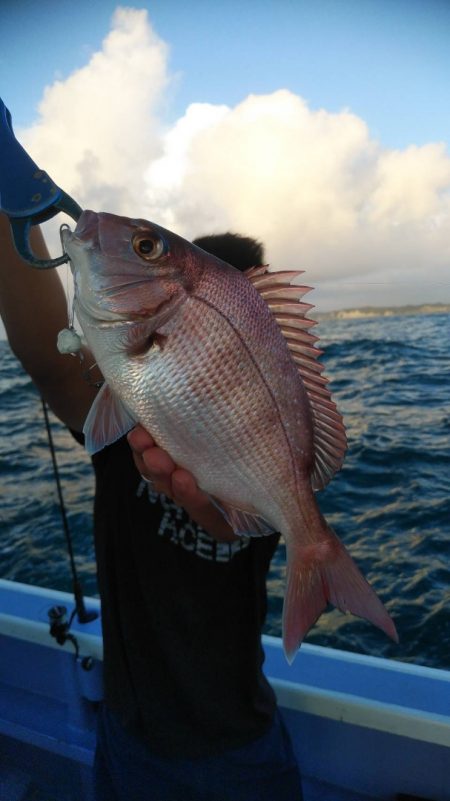 新幸丸 釣果